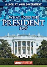 What Does the President Do?