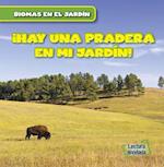 Vivo Cerca de Una Pradera (There Are Grasslands in My Backyard!)