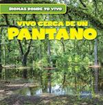 Vivo Cerca de Un Pantano (There's a Swamp in My Backyard!)