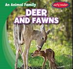 Deer and Fawns