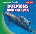 Dolphins and Calves