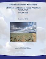 Final Environmental Assessment - Utah Coal and Biomass Fueled Pilot Plant, Kanab, Utah (Doe/EA-1870)