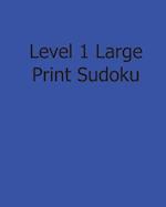 Level 1 Large Print Sudoku