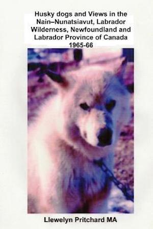 Husky Dogs and Views in the Nain-Nunatsiavut, Labrador Wilderness, Newfoundland and Labrador Province of Canada 1965-66