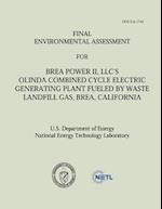 Final Environmental Assessment for Brea Power II, LLC's Olinda Combined Cycle Electric Generating Plant Fueled by Waste Landfill Gas, Brea, California