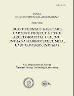 Final Environmental Assessment for the Blast Furnace Gas Flare Capture Project at the Arcelormittal USA, Inc. Indiana Harbor Steel Mill, East Chicago,