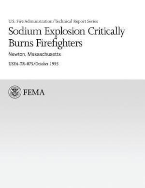 Sodium Explosion Critically Burns Firefighters