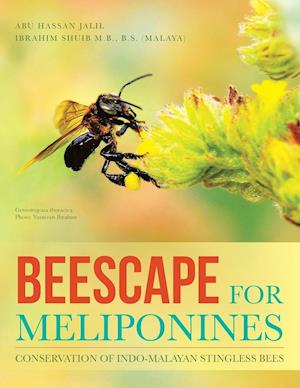 Beescape for Meliponines