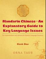 Mandarin Chinese - An Explanatory Guide to Key Language Issues