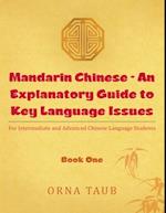 Mandarin Chinese - an Explanatory Guide to Key Language Issues