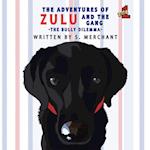 Adventures of Zulu & the Gang