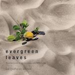 Evergreen Leaves