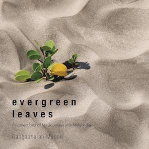 Evergreen Leaves