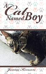 A Cat Named Boy