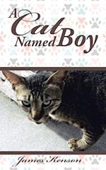 Cat Named Boy