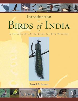 Birds of India