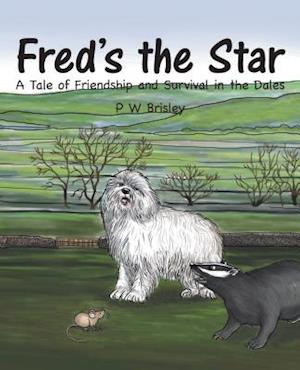 Fred'S the Star