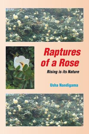Raptures of a Rose