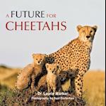 Future for Cheetahs