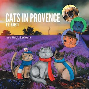 Cats in Provence