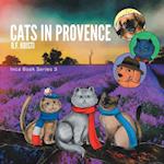 Cats in Provence