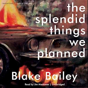 Splendid Things We Planned