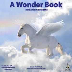 Wonder Book for Girls and Boys