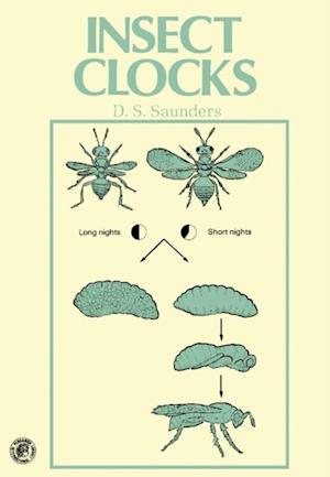 Insect Clocks