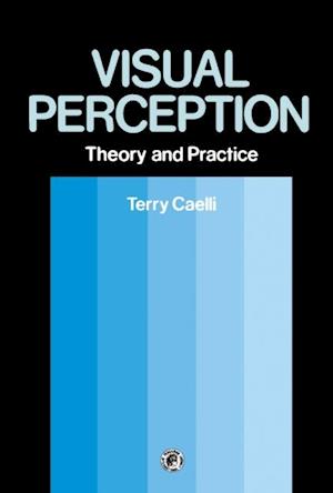 Visual Perception: Theory and Practice