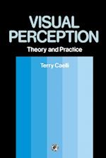 Visual Perception: Theory and Practice