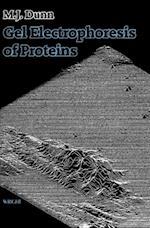 Gel Electrophoresis of Proteins