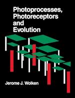 Photoprocesses, Photoreceptors, and Evolution