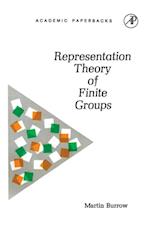 Representation Theory of Finite Groups