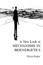 New Look at Mechanisms in Bioenergetics