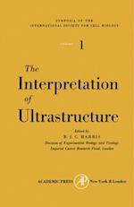 Interpretation of Ultrastructure