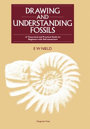Drawing & Understanding Fossils