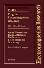 Finite Element and Finite Difference Methods in Electromagnetic Scattering
