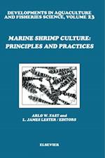 Marine Shrimp Culture