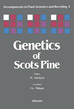 Genetics of Scots Pine