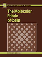 Molecular Fabric of Cells