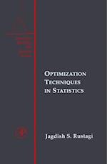 Optimization Techniques in Statistics