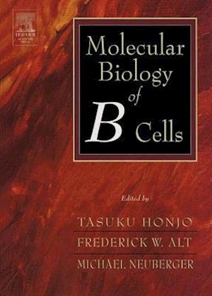 Molecular Biology of B Cells