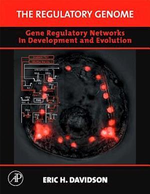 The Regulatory Genome