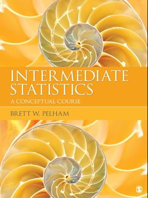 Intermediate Statistics : A Conceptual Course