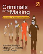 Criminals in the Making : Criminality Across the Life Course