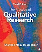 Practice of Qualitative Research