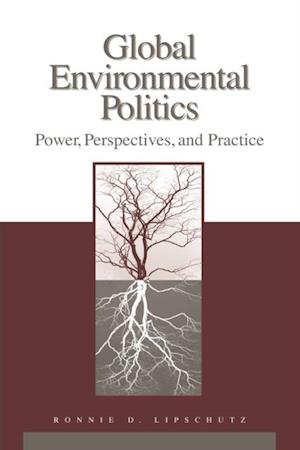 Global Environmental Politics : Power, Perspectives, and Practice