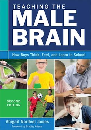 Teaching the Male Brain