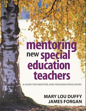 Mentoring New Special Education Teachers