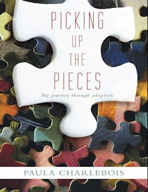 Picking Up the Pieces: My Journey Through Adoption